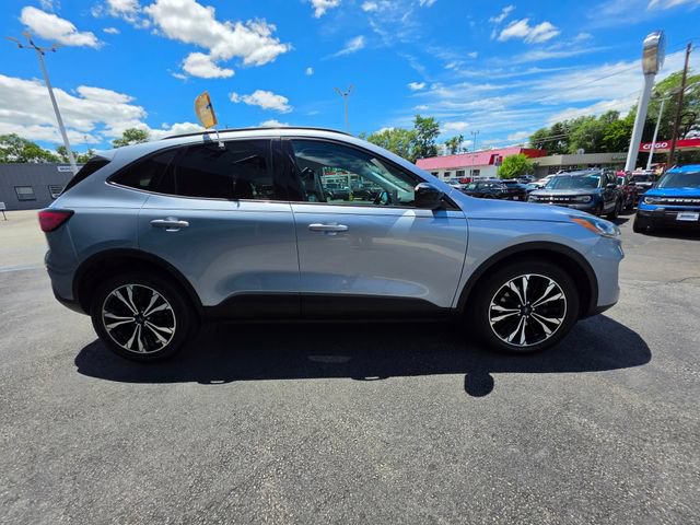 Certified 2022 Ford Escape SEL w/ SEL Stealth AWD Package image 10