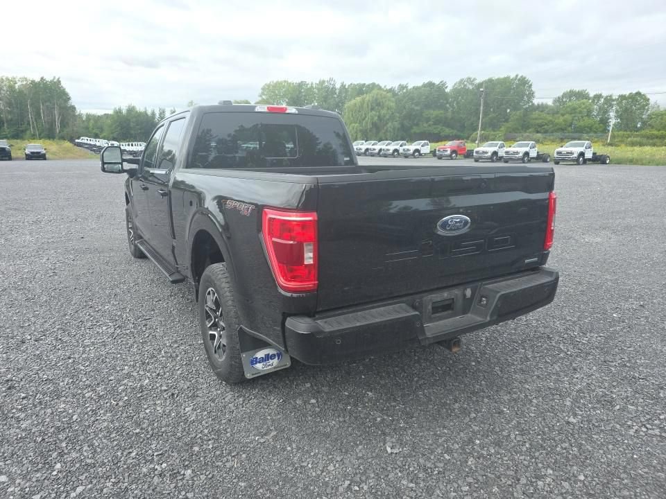 Certified 2023 Ford F150 XLT w/ Equipment Group 302A High AWD/4WD image 3