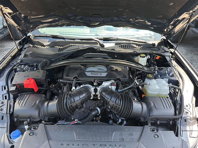 Certified 2025 Ford Mustang Dark Horse w/ Dark Horse Handlin Package RWD image 16