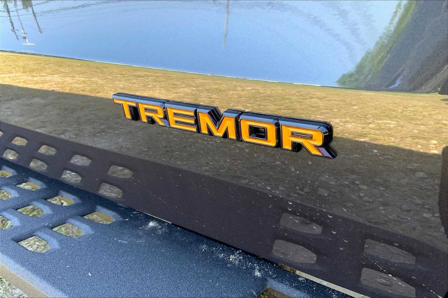 Certified 2025 Ford Expedition Tremor image 15