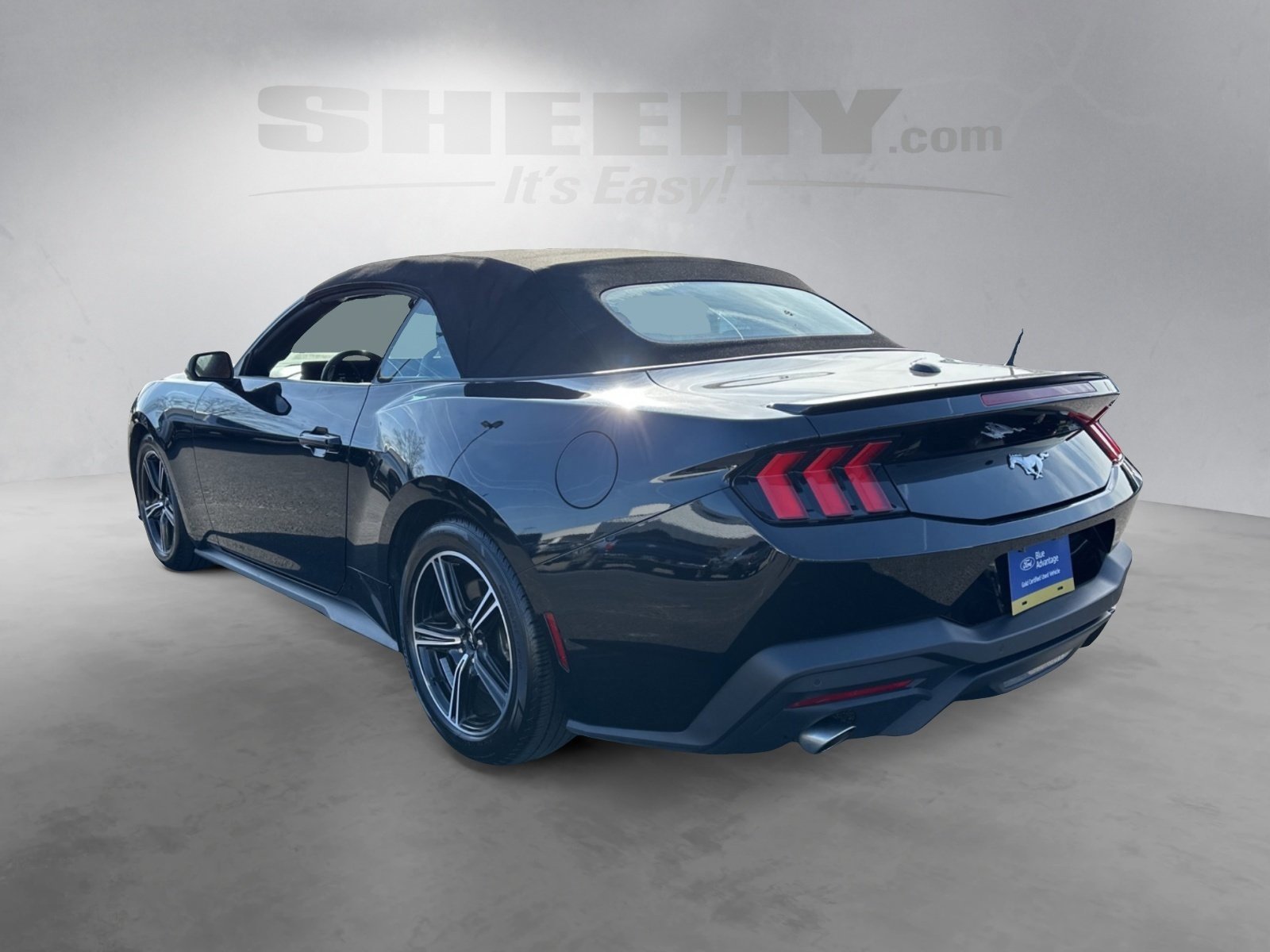Certified 2024 Ford Mustang Premium image 3