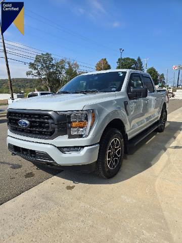 Certified 2023 Ford F150 XLT w/ Equipment Group 302A High