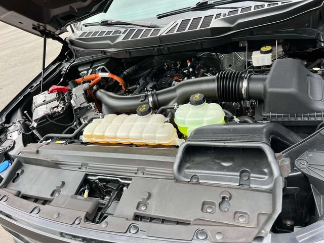Certified 2024 Ford F150 XLT w/ Equipment Group 303A High AWD/4WD image 15