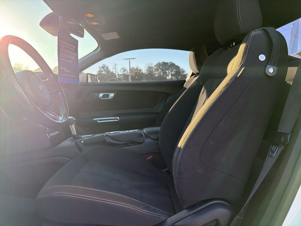 Certified 2019 Ford Mustang GT w/ Equipment Group 301A image 16