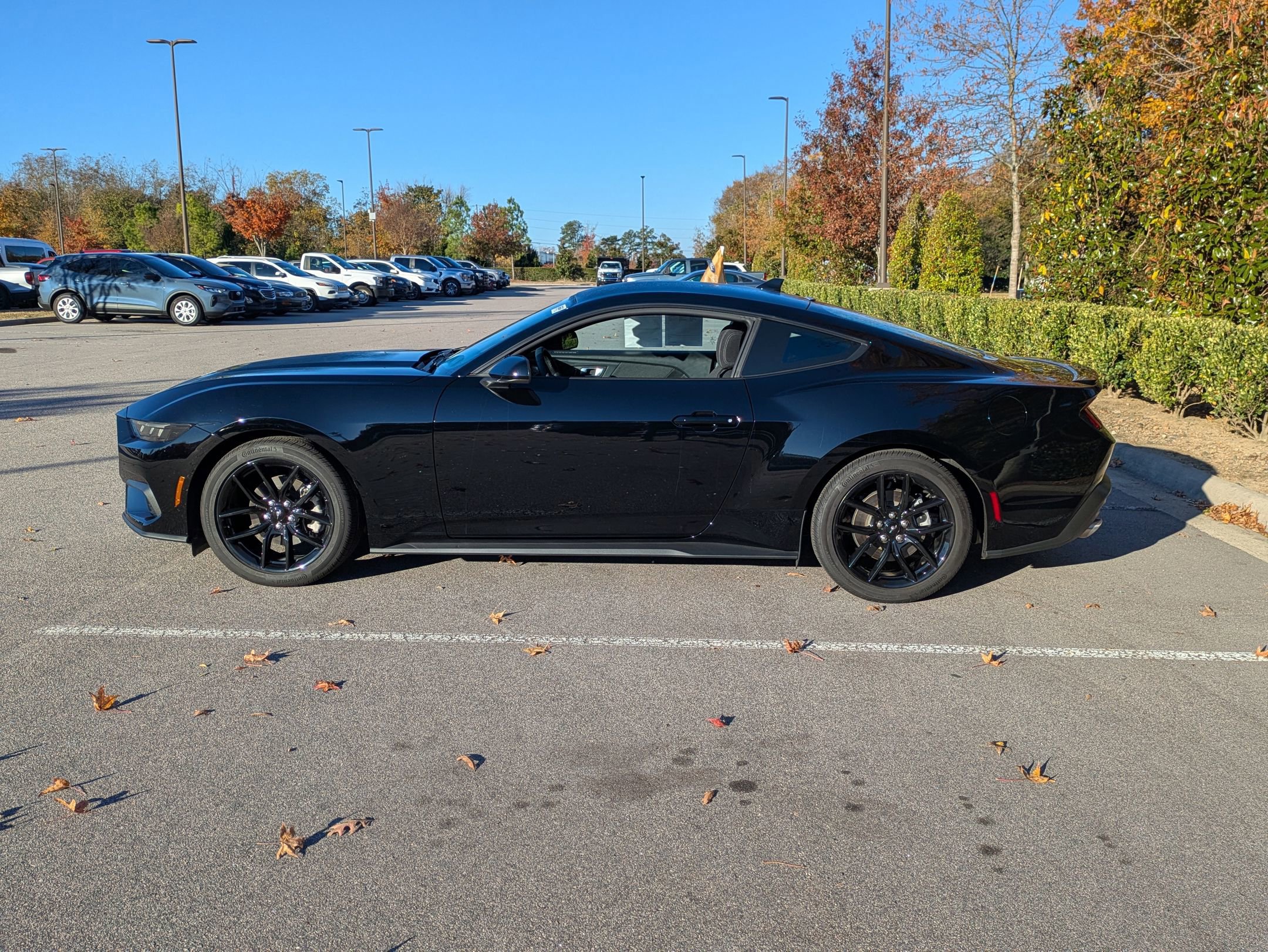 Certified 2025 Ford Mustang Coupe w/ Mustang Nite Pony Package image 3