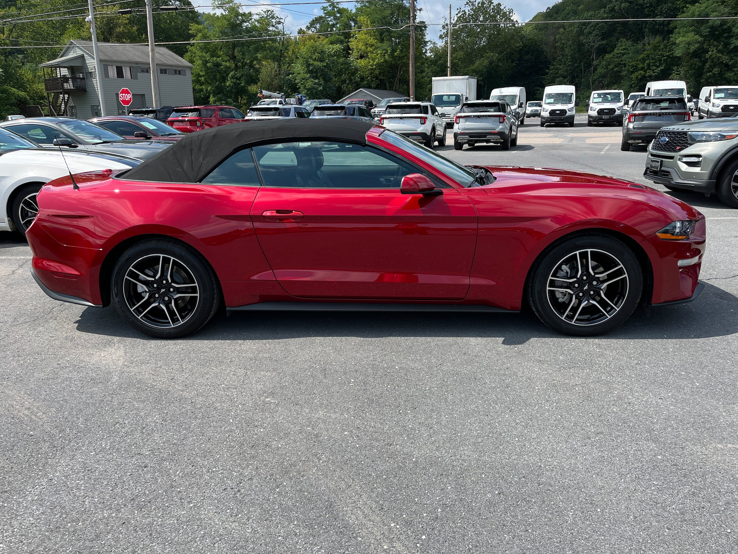 Certified 2022 Ford Mustang Premium RWD image 3