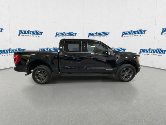 Certified 2023 Ford F150 XLT w/ Equipment Group 302A High AWD/4WD image 12