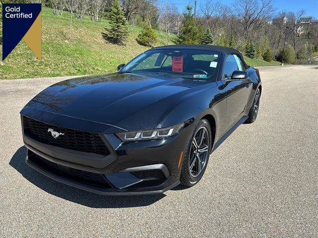 Certified 2024 Ford Mustang Premium image 1