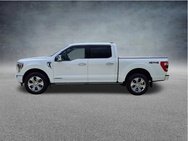 Certified 2023 Ford F150 Platinum w/ Equipment Group 701A High AWD/4WD image 6