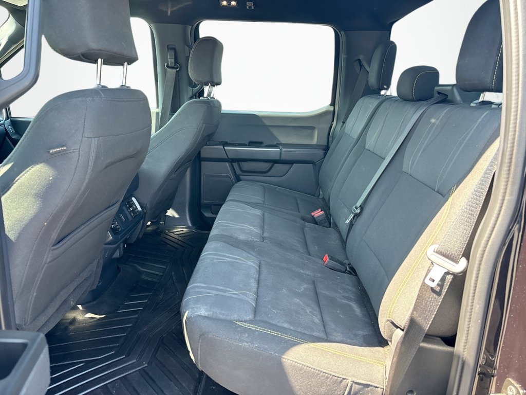 Certified 2024 Ford F150 STX w/ STX Black Appearance Package AWD/4WD image 18