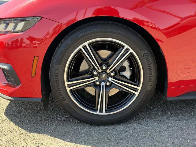 Certified 2024 Ford Mustang Convertible RWD image 28