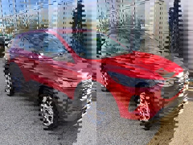 Certified 2025 Ford Escape Active w/ Cold Weather Package image 7