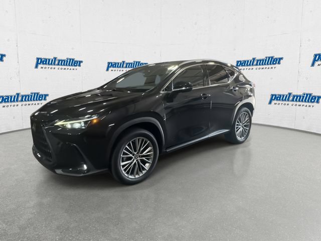 Used 2023 Lexus NX 350h AWD image 5