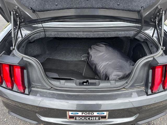 Certified 2020 Ford Mustang GT Premium w/ Equipment Group 401A RWD image 6