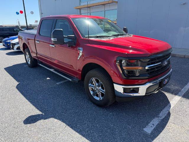 Certified 2024 Ford F150 XLT w/ Equipment Group 302A MID AWD/4WD image 2