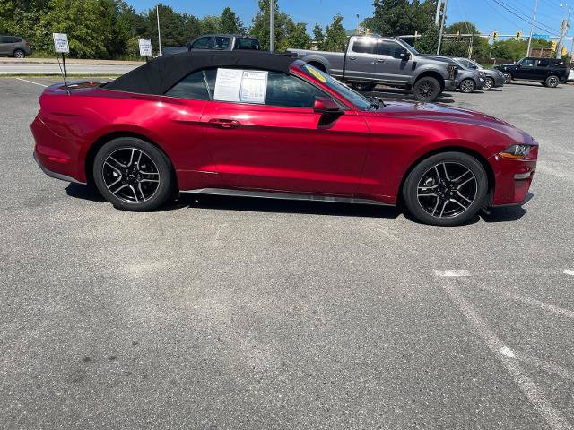 Certified 2019 Ford Mustang Premium RWD image 2
