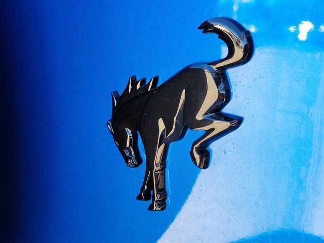 Certified 2022 Ford Bronco Wildtrak image 11