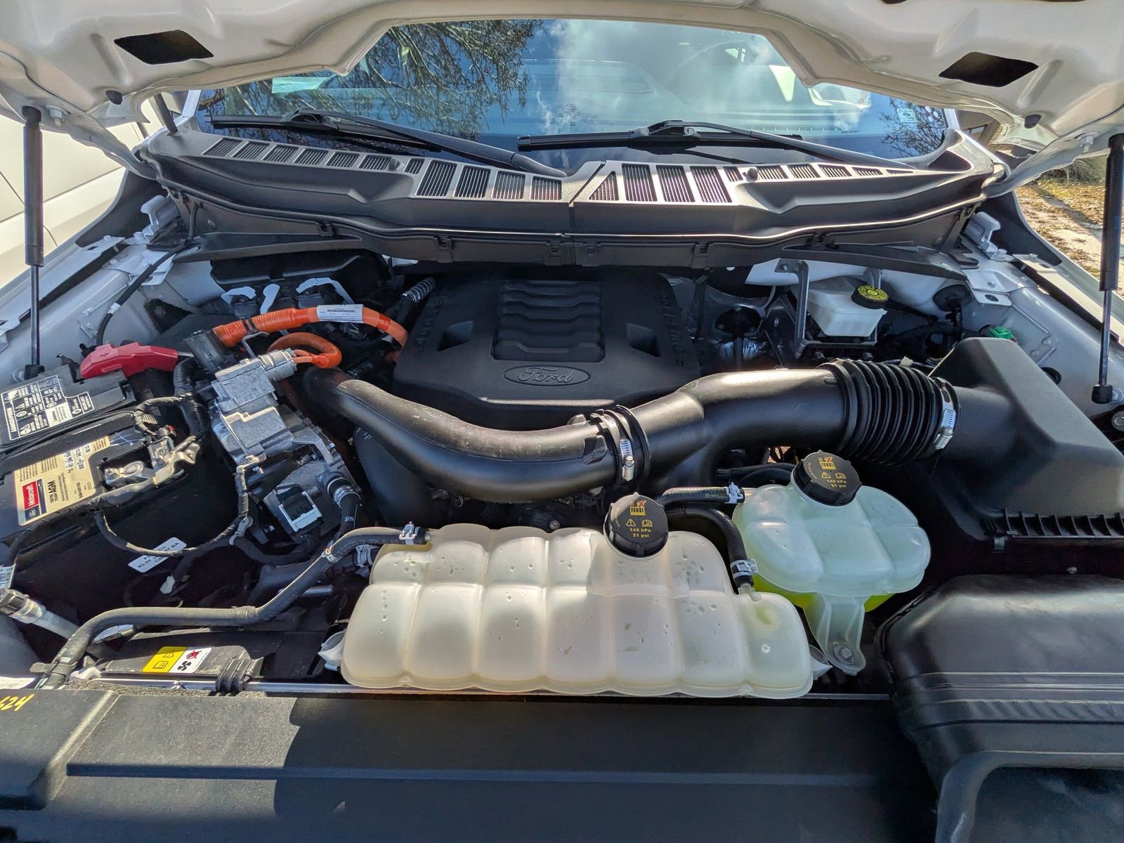 Certified 2023 Ford F150 XLT w/ Equipment Group 302A High image 10