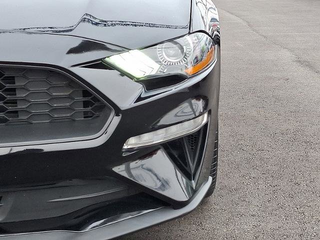 Certified 2022 Ford Mustang Premium w/ Equipment Group 201A image 9
