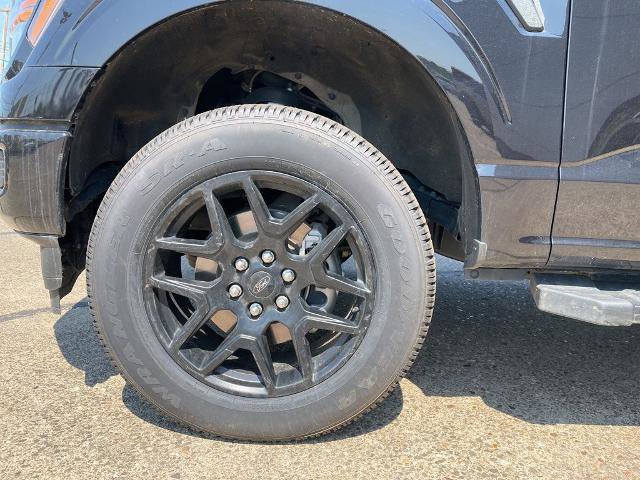 Certified 2024 Ford F150 STX w/ STX Black Appearance Package AWD/4WD image 7