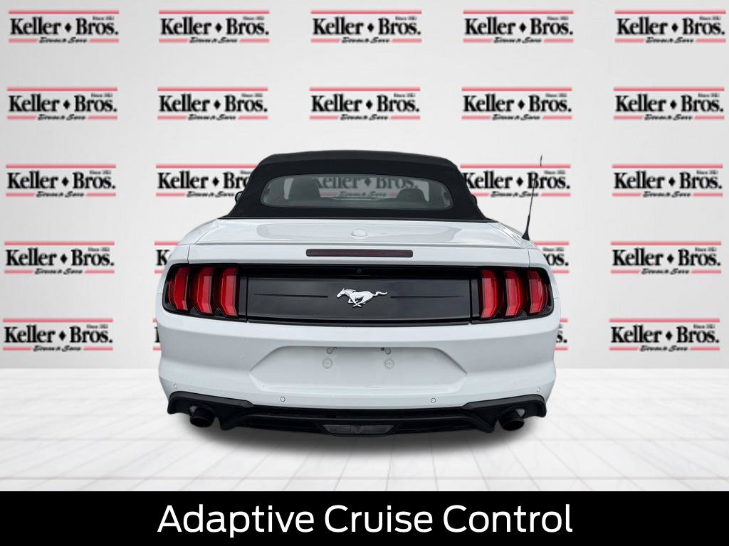 Certified 2019 Ford Mustang Premium w/ Equipment Group 201A RWD image 6