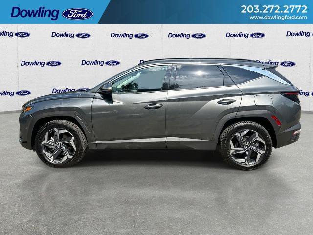 Used 2024 Hyundai Tucson Limited AWD/4WD image 5