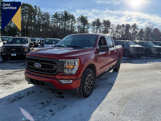 Certified 2023 Ford F150 XLT w/ Equipment Group 302A High