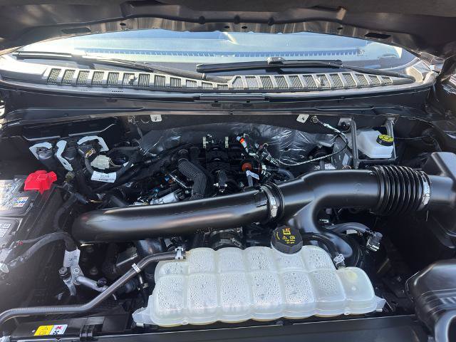 Certified 2025 Ford Expedition Active RWD image 6