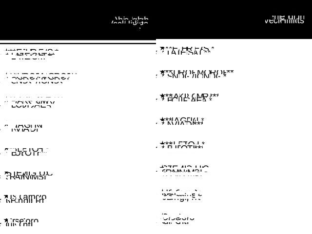 Used 2025 Hyundai Palisade Calligraphy AWD/4WD image 40