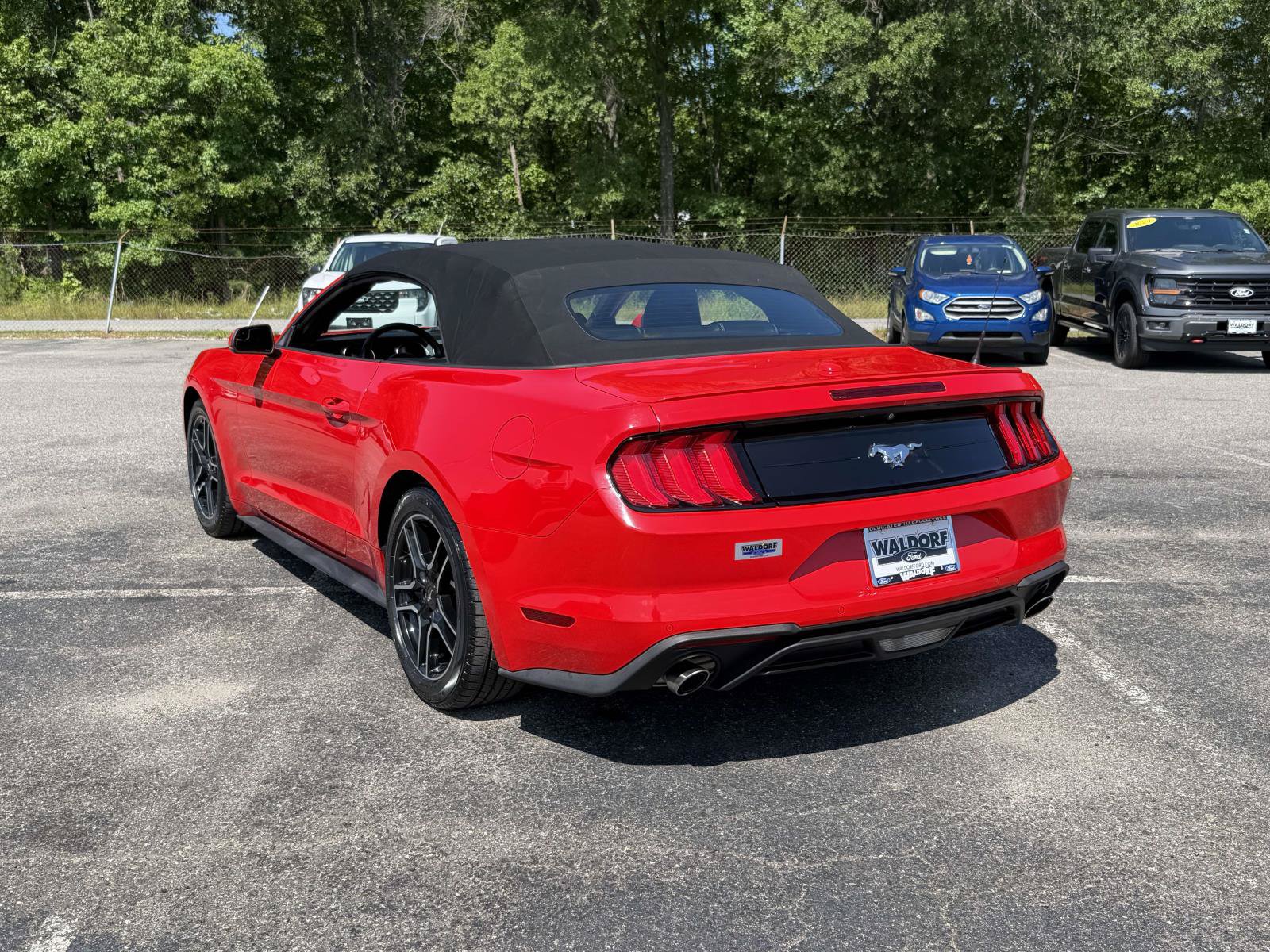 Certified 2020 Ford Mustang Premium RWD image 4
