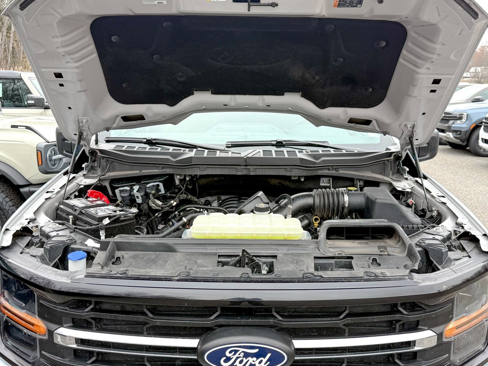 Certified 2025 Ford F150 XLT w/ Equipment Group 301A Standard image 15