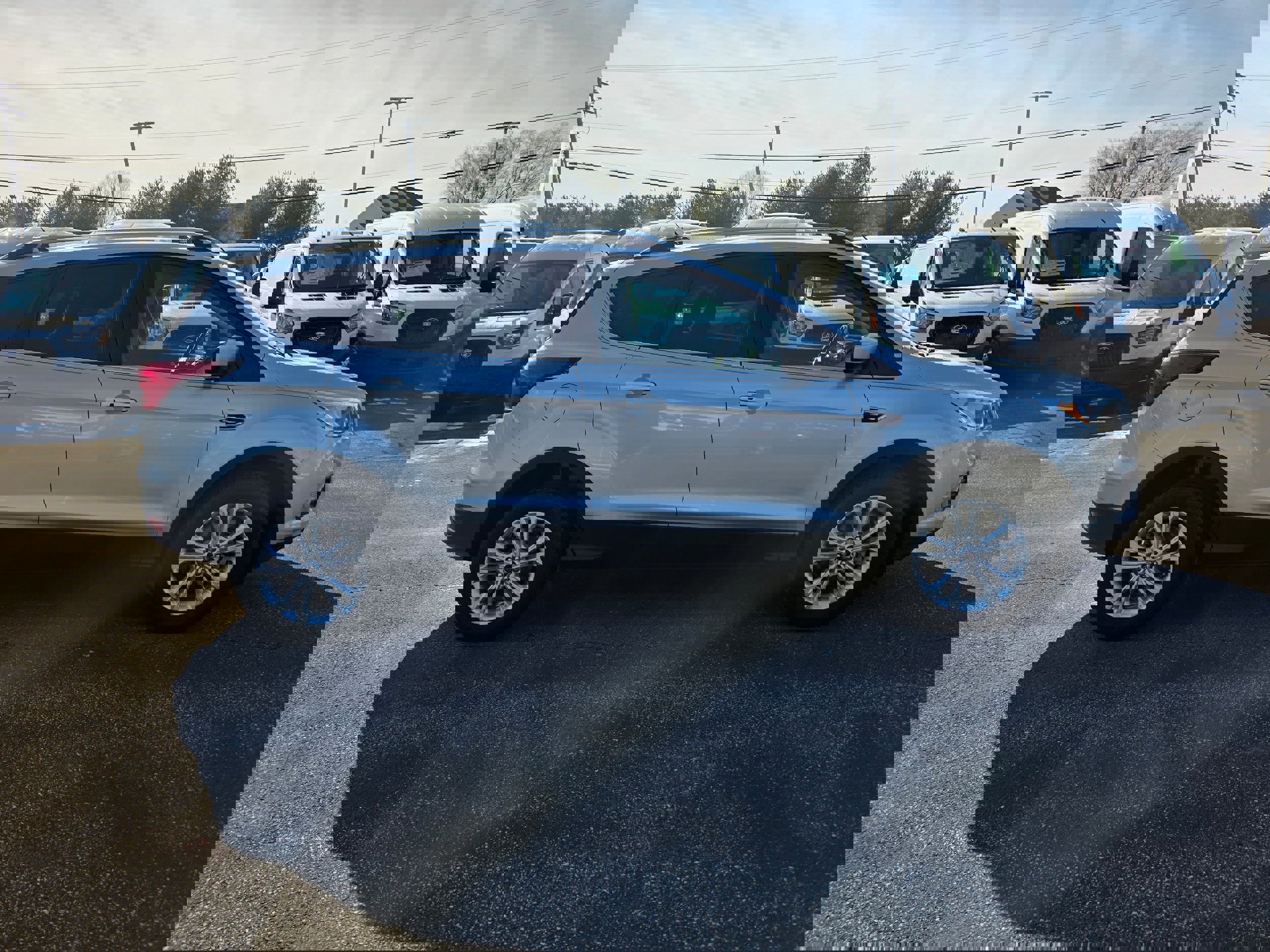Certified 2019 Ford Escape SE image 2