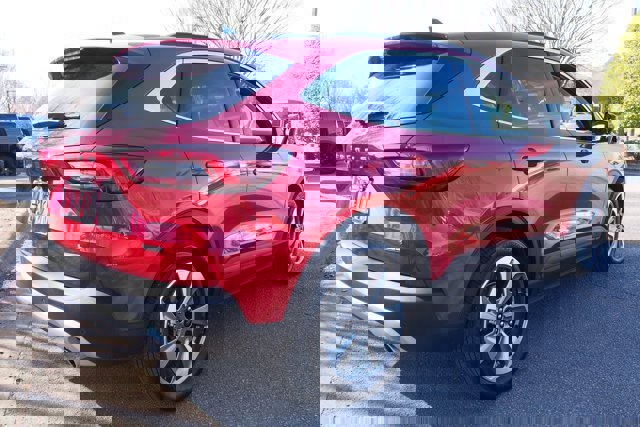 Certified 2025 Ford Escape Platinum w/ Premium Technology Package image 5