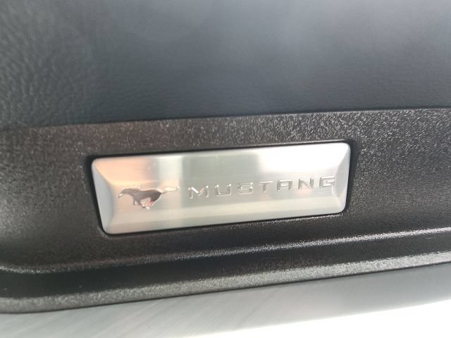 Certified 2019 Ford Mustang Premium RWD image 36