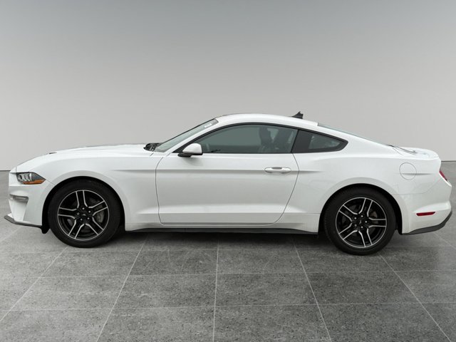 Certified 2021 Ford Mustang Premium w/ Ford Safe & Smart Package RWD image 3