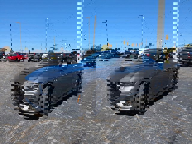 Certified 2025 Ford Mustang GT image 4