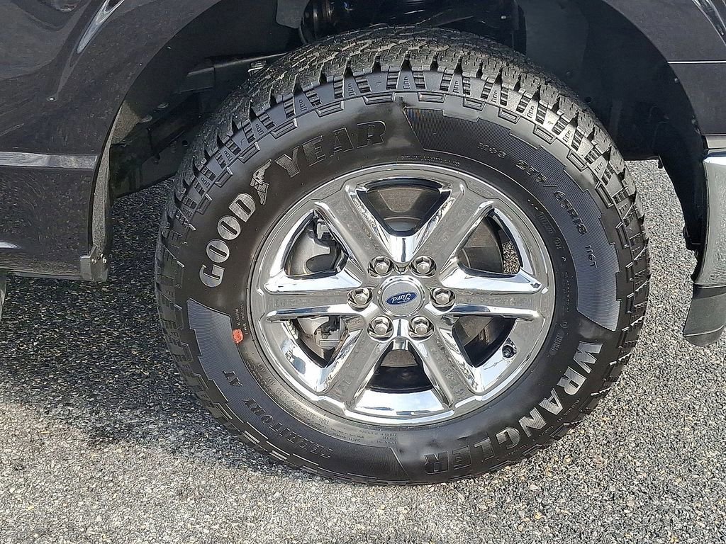 Certified 2025 Ford F150 XLT w/ Equipment Group 301A Standard image 8