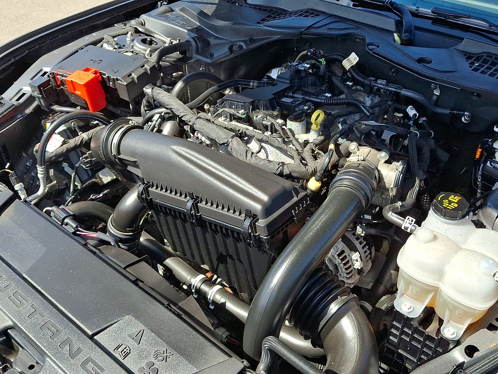 Certified 2025 Ford Mustang Coupe RWD image 29