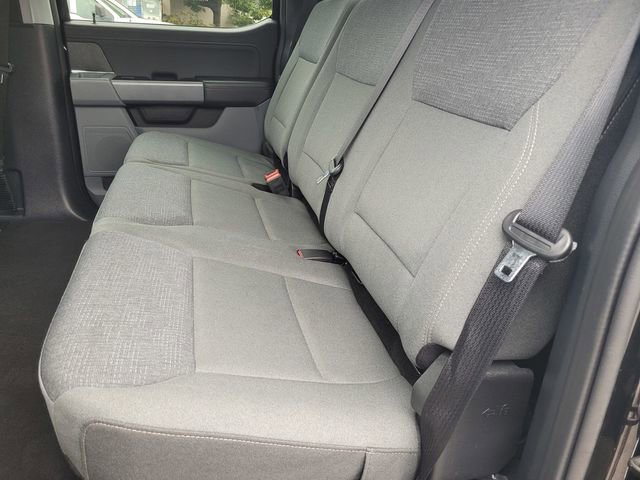 Certified 2025 Ford F150 XLT w/ Equipment Group 301A Standard image 13