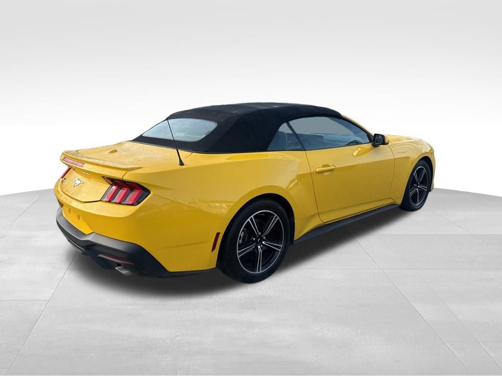 Certified 2024 Ford Mustang Premium image 6