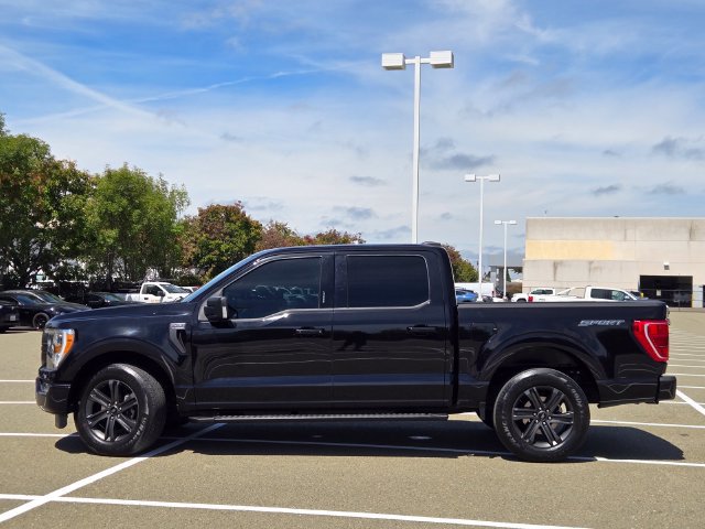 Certified 2023 Ford F150 XLT w/ Equipment Group 302A High RWD image 3