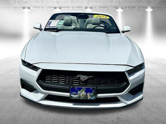 Certified 2024 Ford Mustang Premium RWD image 2