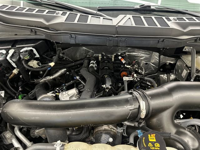 Certified 2025 Ford F150 XLT w/ Equipment Group 301A Standard image 38