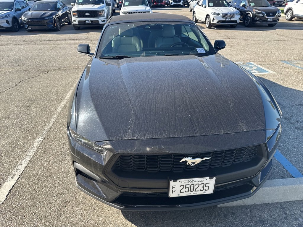 Certified 2024 Ford Mustang Premium image 3