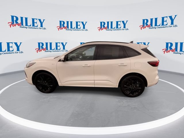 Certified 2023 Ford Escape ST-Line Elite w/ Premium Technology Package AWD/4WD image 5