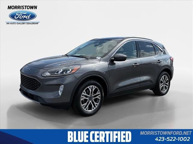 Certified 2022 Ford Escape SEL image 7
