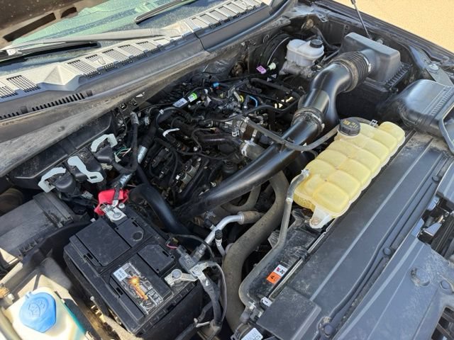 Certified 2020 Ford F150 XL w/ Equipment Group 101A Mid RWD image 41