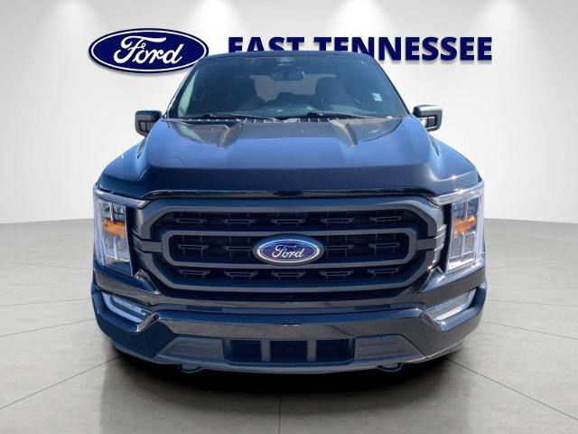 Certified 2022 Ford F150 XLT w/ Equipment Group 302A High image 8