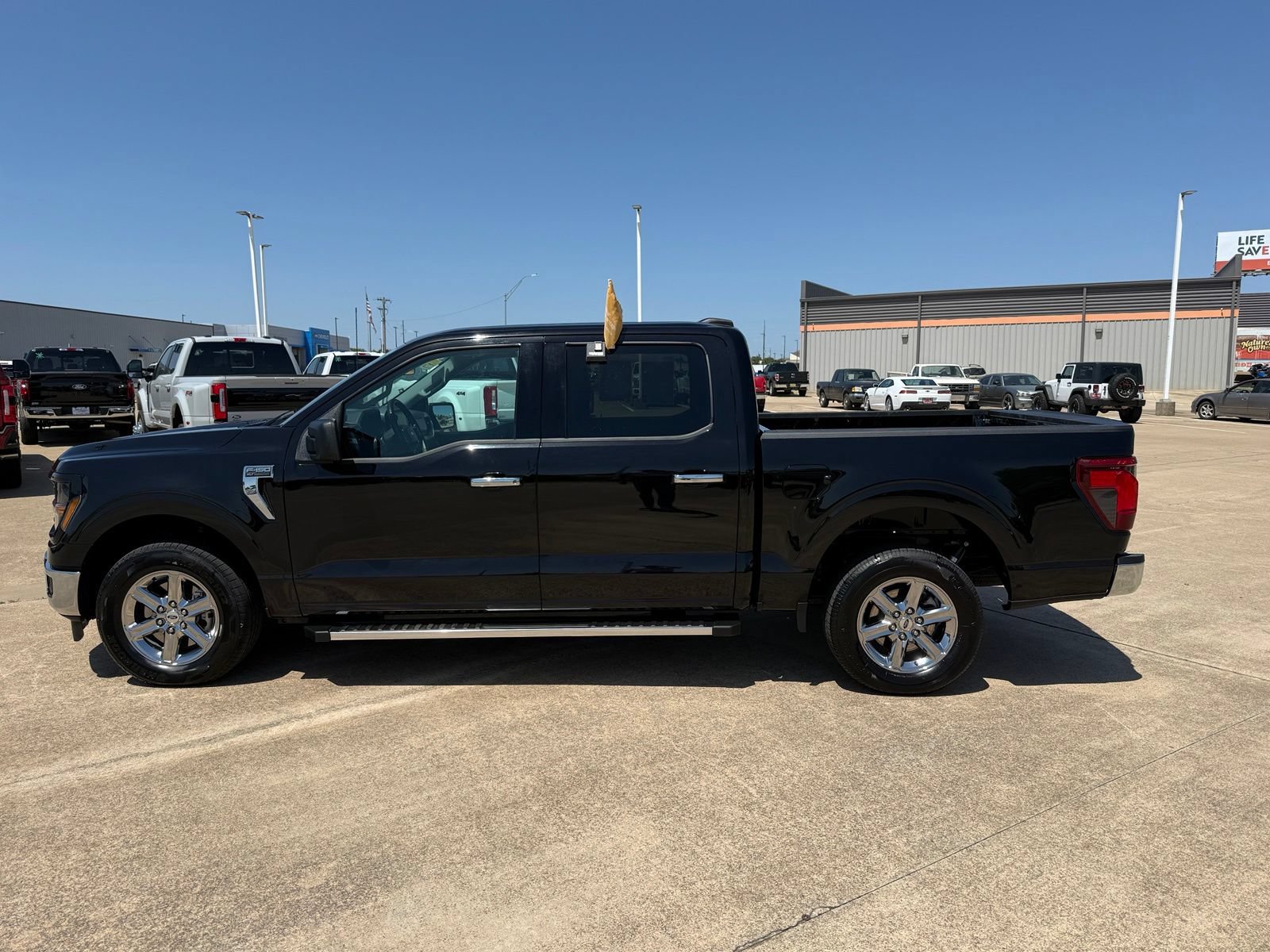 Certified 2025 Ford F150 XLT w/ Equipment Group 301A Standard RWD image 8