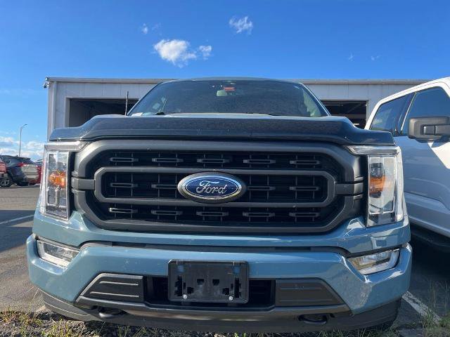 Certified 2023 Ford F150 XLT w/ Equipment Group 302A High